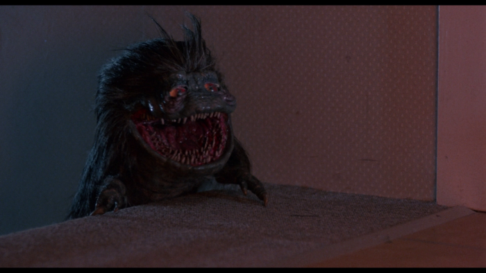 Vlcsnap-2018-11-27-16h43m14s790