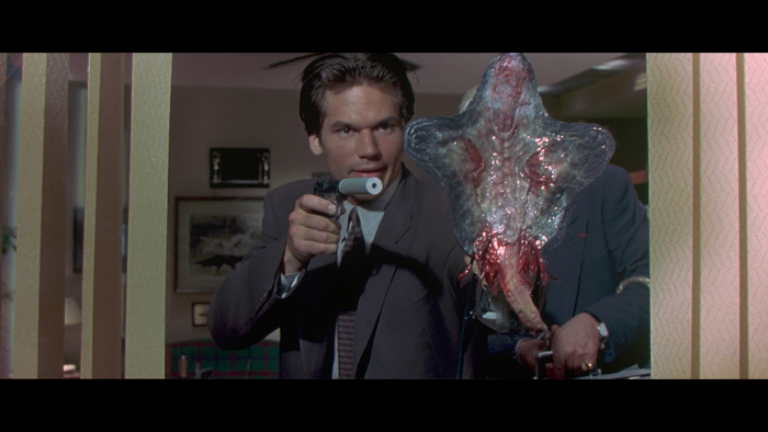 Vlcsnap-2018-12-08-09h06m55s425