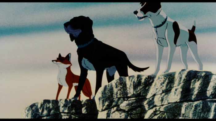 Vlcsnap-2019-01-27-07h47m08s409