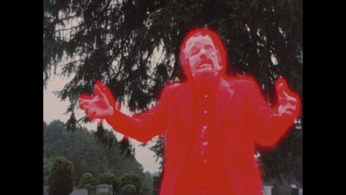 Vlcsnap-2019-01-18-21h55m41s470