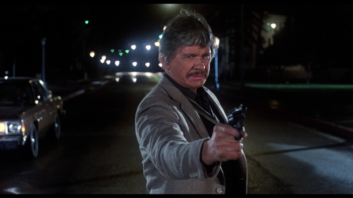 Vlcsnap-2019-01-15-16h02m14s429