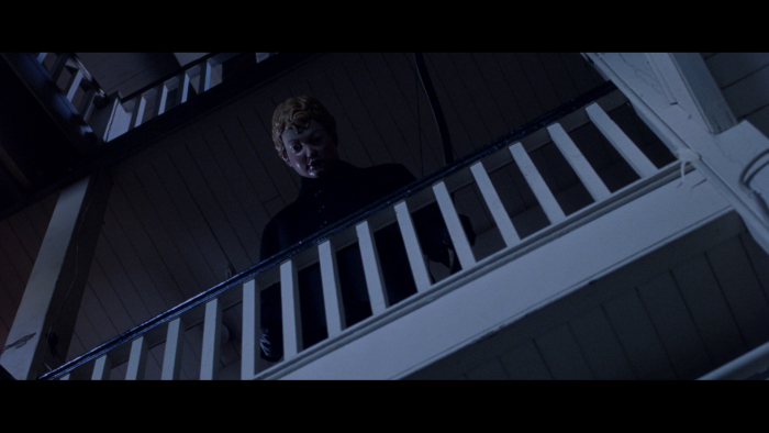 Vlcsnap-2019-02-11-17h40m38s158