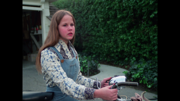 Vlcsnap-2019-02-04-23h05m13s305