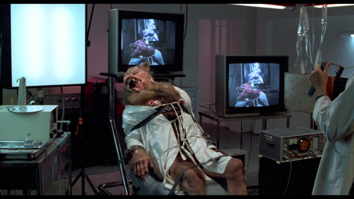 Vlcsnap-2019-02-01-17h42m53s104