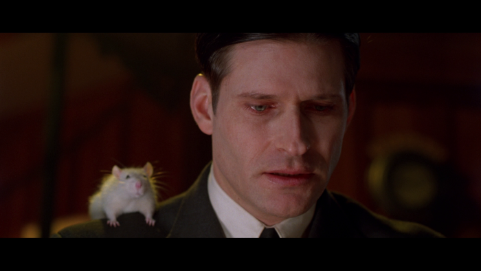 Vlcsnap-2019-03-08-19h58m07s466