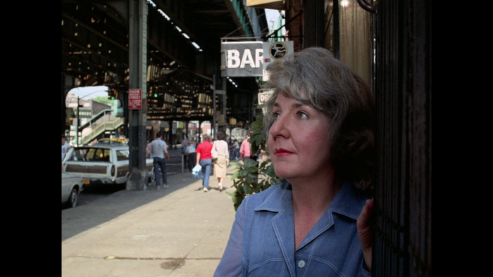 Vlcsnap-2019-02-06-22h58m35s623