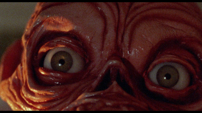 Vlcsnap-2019-03-26-20h51m20s099