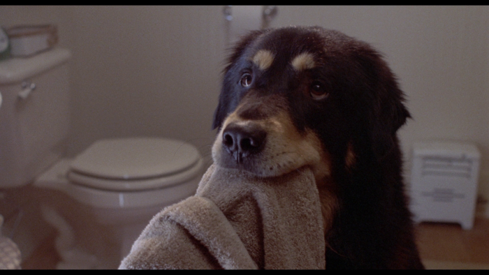 Vlcsnap-2019-03-08-18h48m06s718