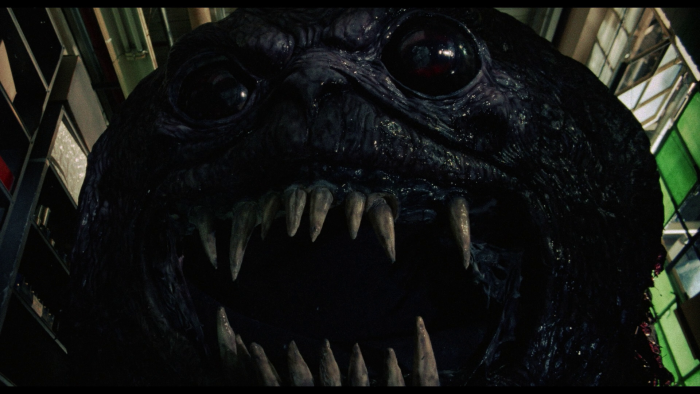 Vlcsnap-2019-04-27-23h29m31s171