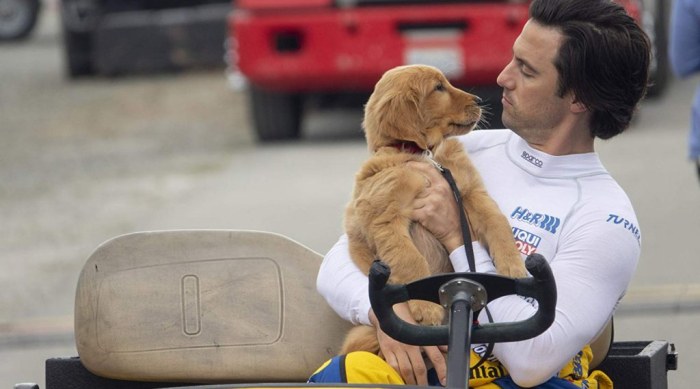 ART OF RACING IN THE RAIN 3