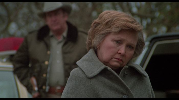 Vlcsnap-2019-05-26-14h17m38s178