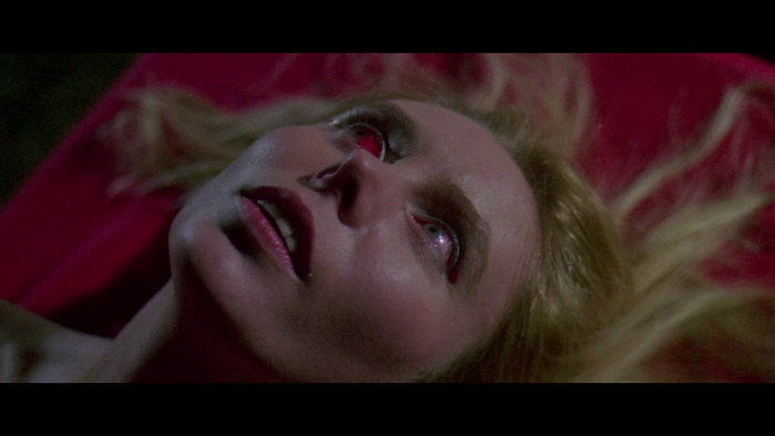 Vlcsnap-2019-05-27-22h42m36s745