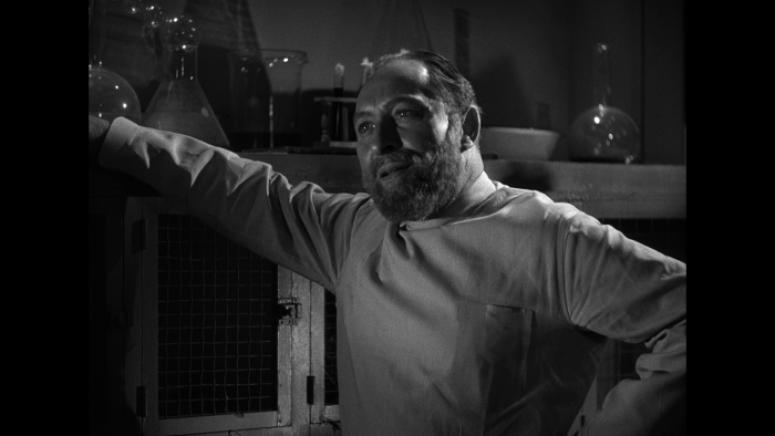 Vlcsnap-2019-07-15-20h50m59s667