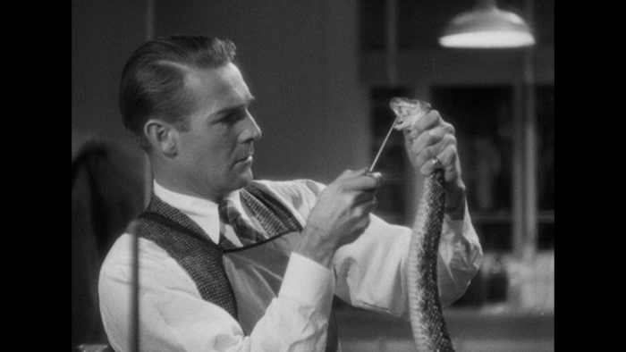 Vlcsnap-2019-07-15-21h09m29s459