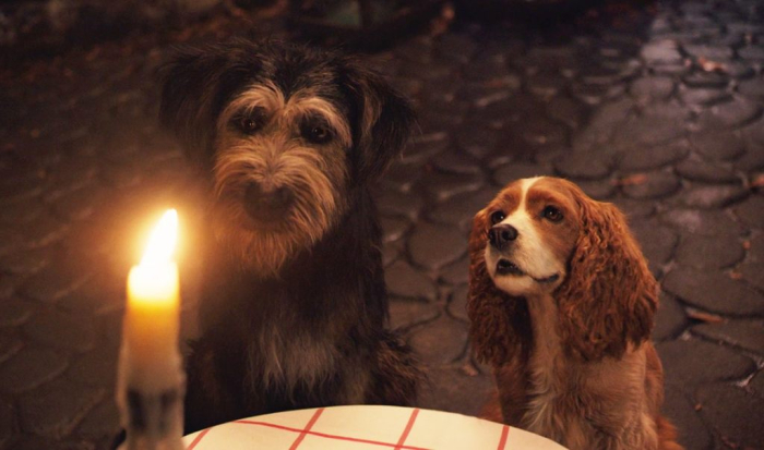 LADY AND THE TRAMP 1