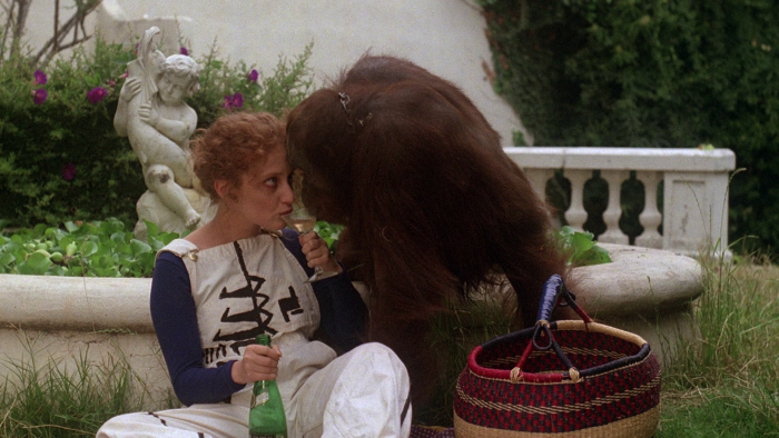 Vlcsnap-2019-07-14-08h55m44s838