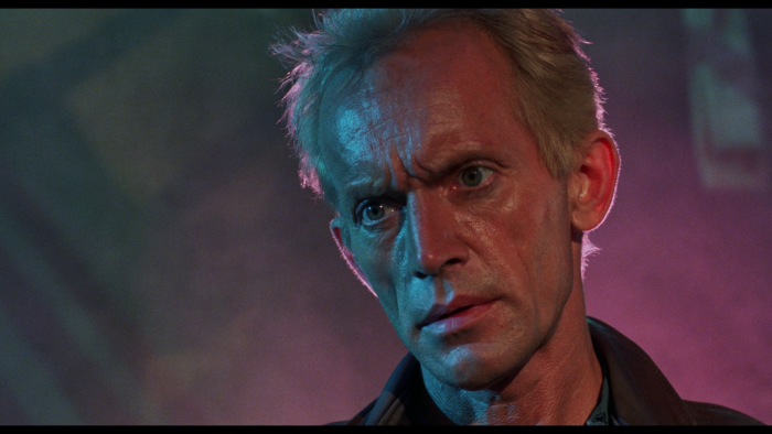 Vlcsnap-2019-11-29-11h06m45s418