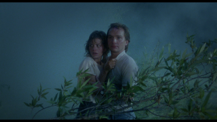 Vlcsnap-2019-10-31-21h35m15s080