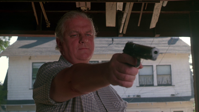 Vlcsnap-2020-01-06-22h36m41s556