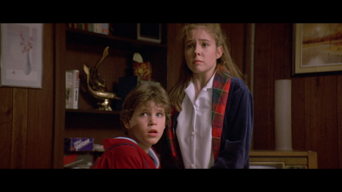 Vlcsnap-2019-12-07-15h22m43s887