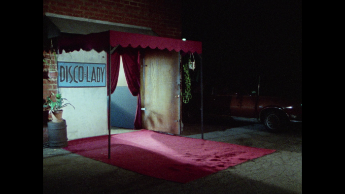 Vlcsnap-2020-01-06-21h44m33s862