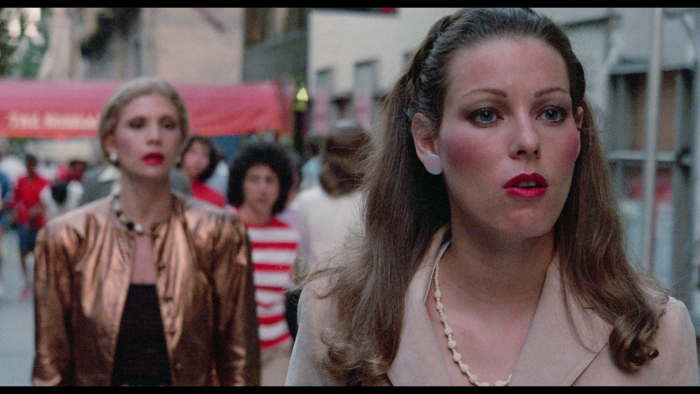 Vlcsnap-2020-02-13-22h50m24s418