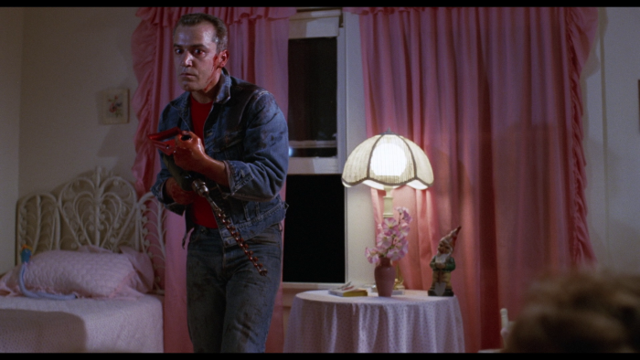 Vlcsnap-2020-02-04-23h07m25s754