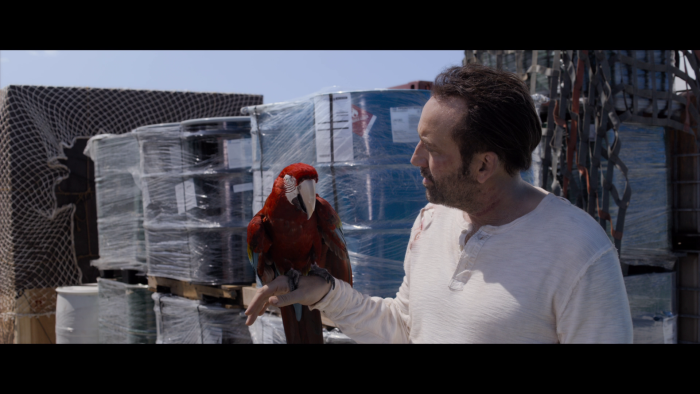 Vlcsnap-2020-03-01-22h40m45s546