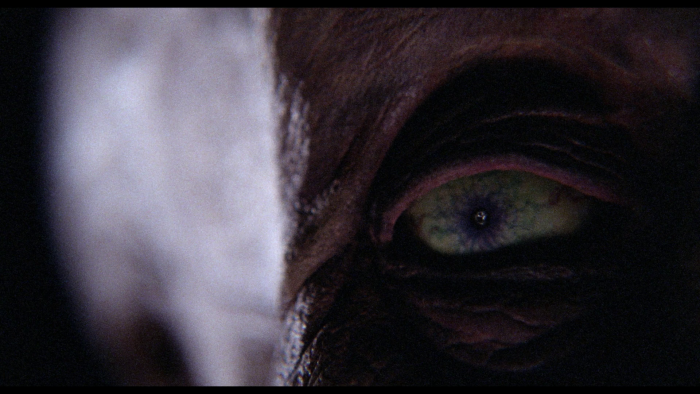 Vlcsnap-2020-02-13-21h49m48s862