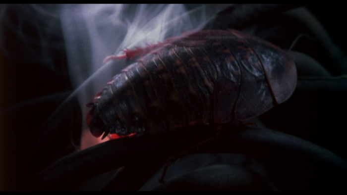 Vlcsnap-2020-03-23-09h12m18s422