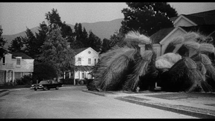 Vlcsnap-2020-07-01-15h18m46s260