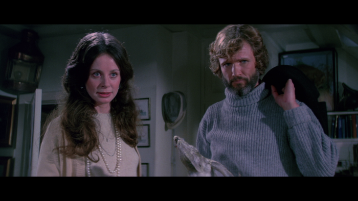 Vlcsnap-2020-06-23-20h45m53s955