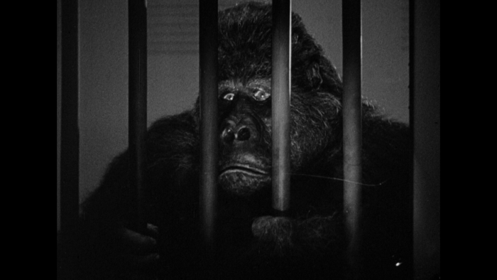 Vlcsnap-2020-06-09-13h42m24s319