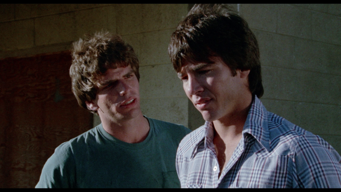 Vlcsnap-2020-07-21-20h40m12s409