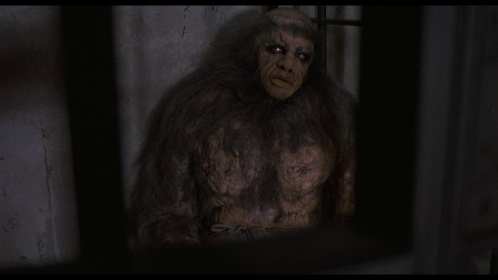 Vlcsnap-2020-08-26-14h50m50s268