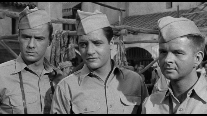 Vlcsnap-2020-08-13-21h29m51s212