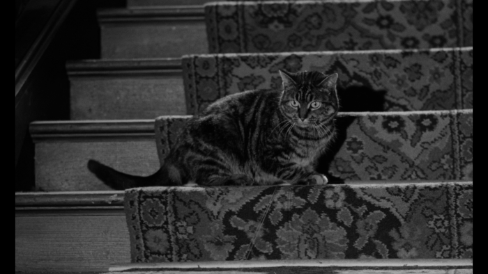 Vlcsnap-2020-08-13-21h46m28s811