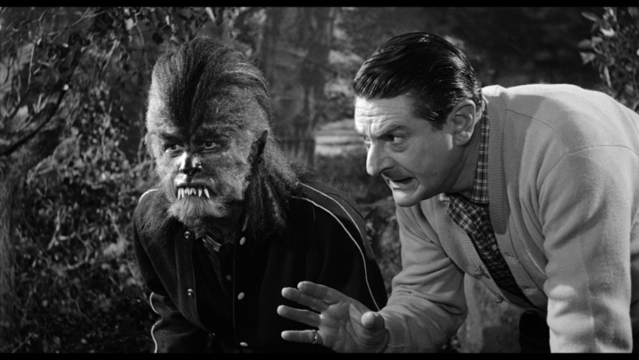 Vlcsnap-2020-11-03-15h49m14s239