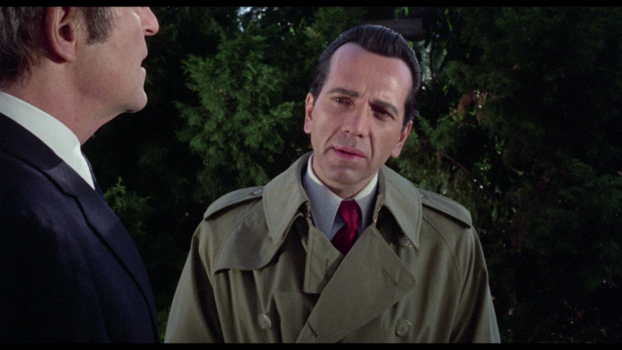 Vlcsnap-2021-01-25-20h59m25s644