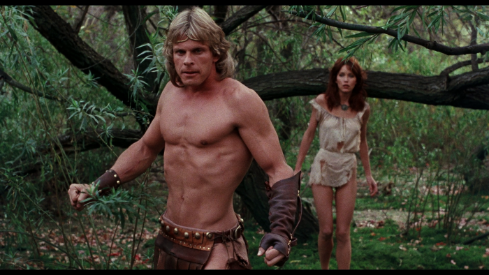 Vlcsnap-2021-01-12-15h35m59s337