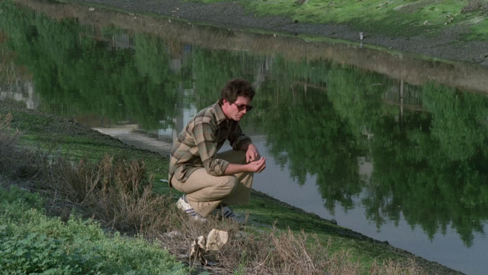 Vlcsnap-2021-02-20-15h38m19s977