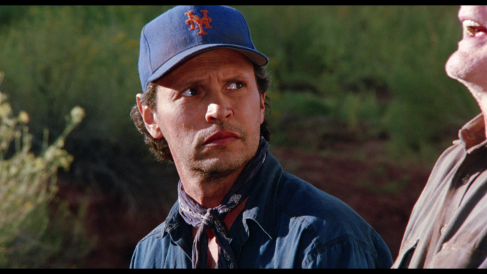 Vlcsnap-2021-05-18-22h39m55s388