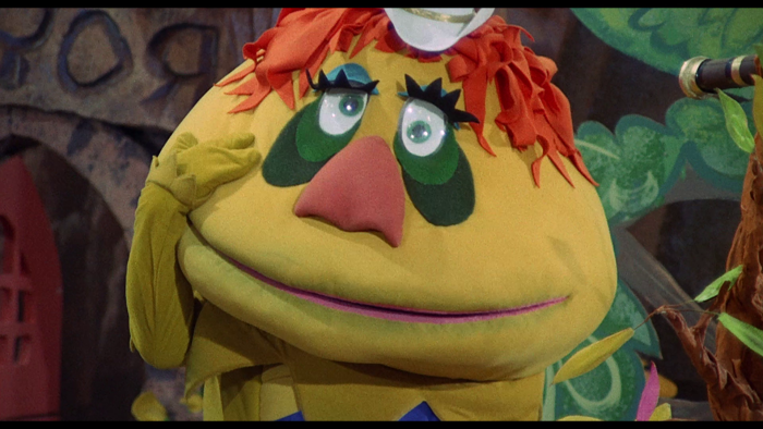 Vlcsnap-2021-09-24-22h57m50s028