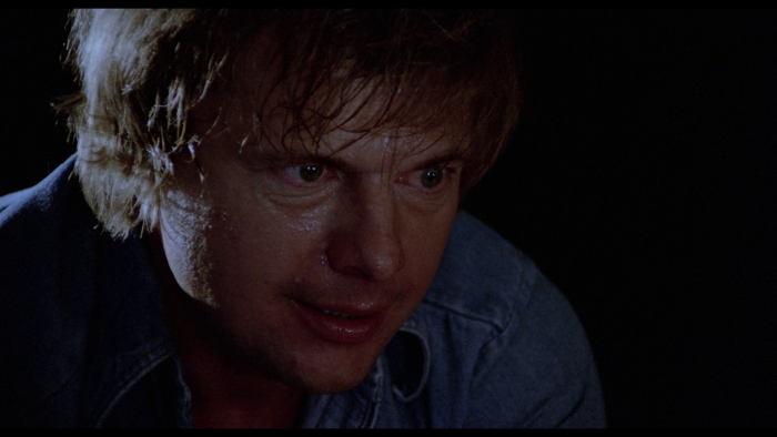 Vlcsnap-2021-08-25-21h59m39s144