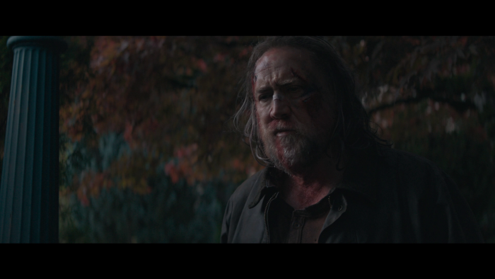 Vlcsnap-2021-11-01-22h44m09s857