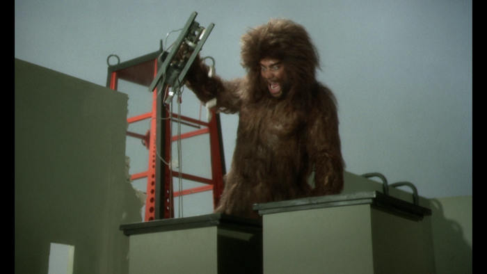 Vlcsnap-2022-06-04-23h33m43s314