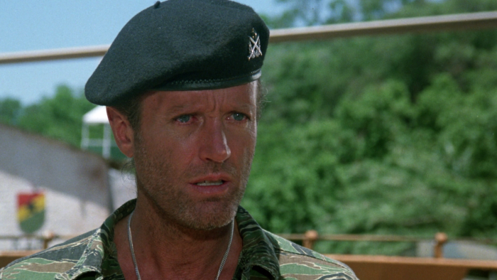 Vlcsnap-2022-09-23-23h29m30s533