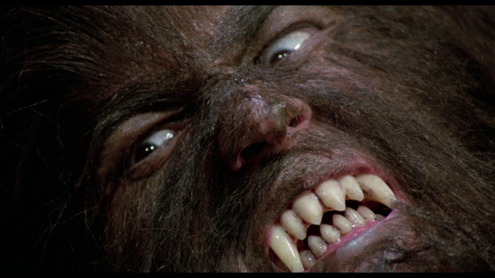 Vlcsnap-2022-11-11-18h55m22s866