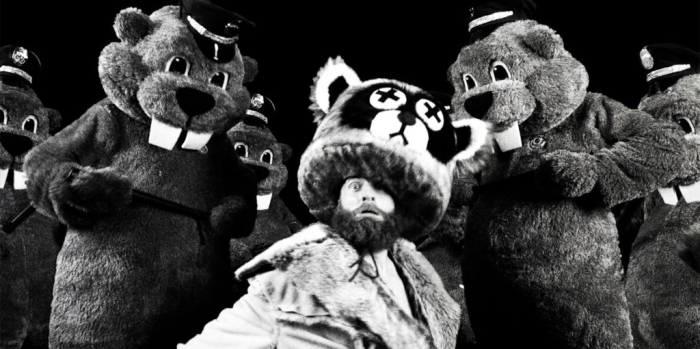 HUNDREDS OF BEAVERS 1