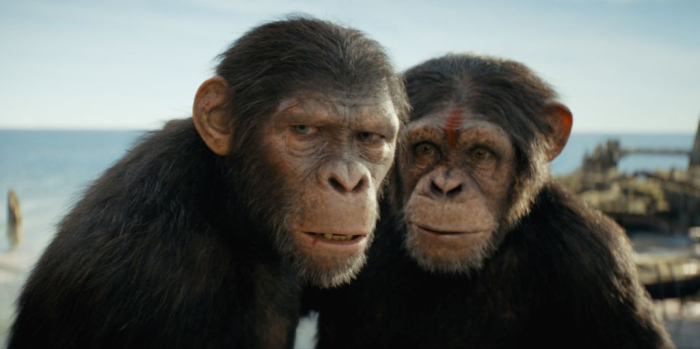 KINGDOM OF THE PLANET OF THE APES 1 KINGDOM OF THE PLANET OF THE APES 1